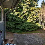 Close To Forest *