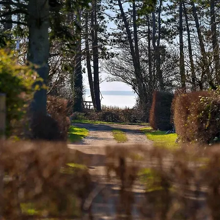 Close To Forest * Vordingborg
